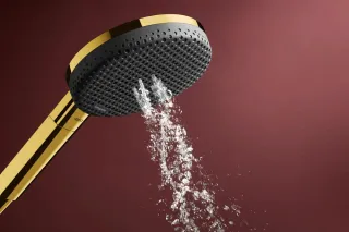 Душевая лейка Hansgrohe Raindance Alive Select S 24500990 шлифованное золото